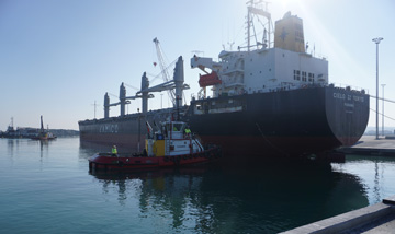 IC İnşaat | IC Karasu Port, a new player in maritime trade, has opened for
