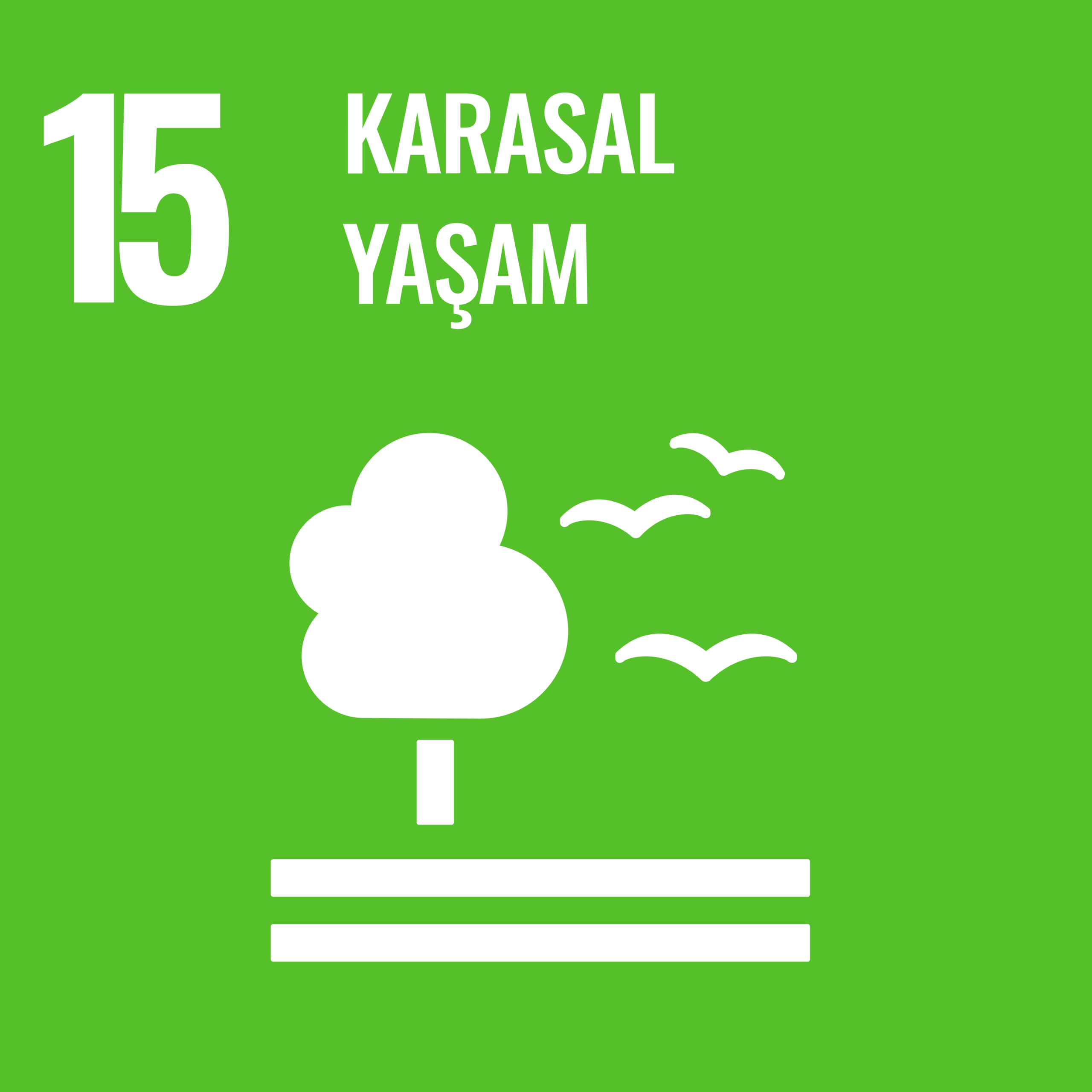 IC İnşaat | SKA 15